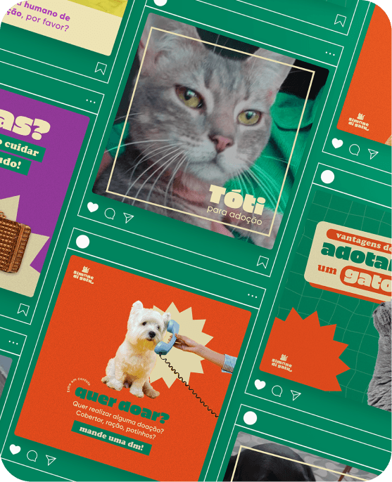 Projeto Simone di Gatu