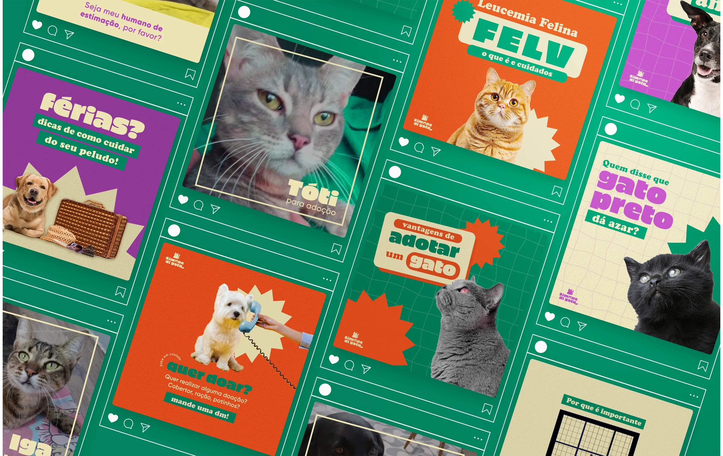 Publicações digitais da Simone di Gatu