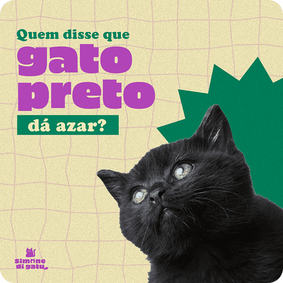 Post sobre Gato Preto