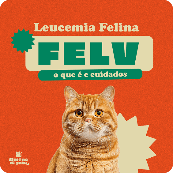 Post sobre Leucemia Felina