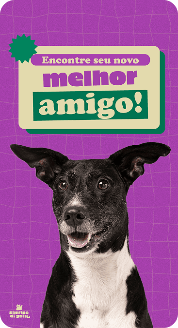 Story sobre Evento de adoção