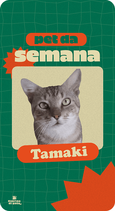 Story sobre o Pet da Semana